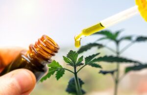 CBD and Your Health